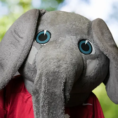 No photo available (photo of Big Al)